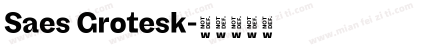 Saes Grotesk字体转换